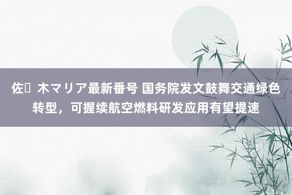 佐々木マリア最新番号 国务院发文鼓舞交通绿色转型，可握续航空燃料研发应用有望提速