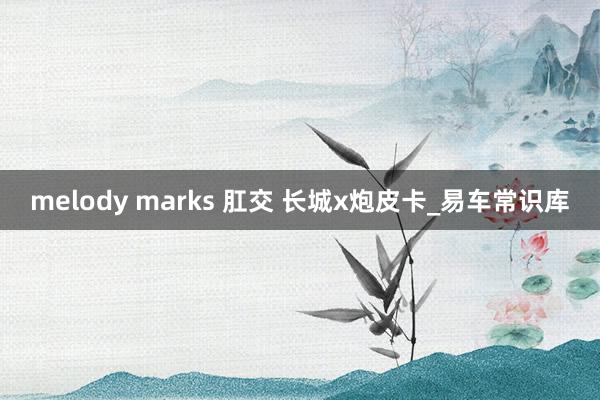 melody marks 肛交 长城x炮皮卡_易车常识库