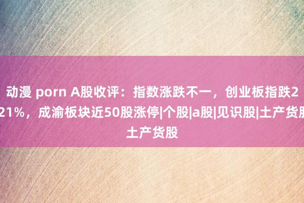 动漫 porn A股收评：指数涨跌不一，创业板指跌2.21%，成渝板块近50股涨停|个股|a股|见识股|土产货股