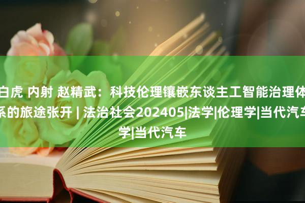 白虎 内射 赵精武：科技伦理镶嵌东谈主工智能治理体系的旅途张开 | 法治社会202405|法学|伦理学|当代汽车