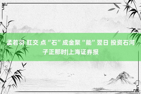 孟若羽 肛交 点“石”成金聚“能”翌日 投资石河子正那时|上海证券报