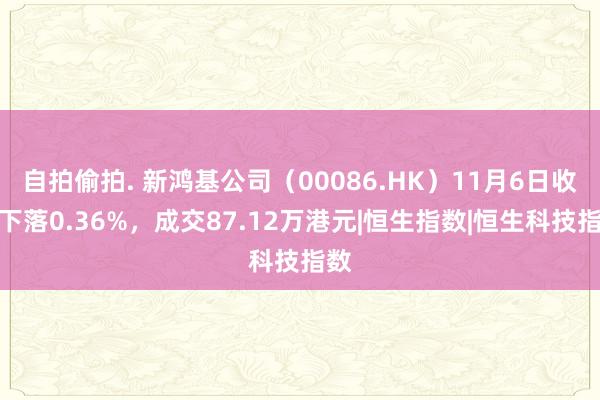 自拍偷拍. 新鸿基公司（00086.HK）11月6日收盘下落0.36%，成交87.12万港元|恒生指数|恒生科技指数