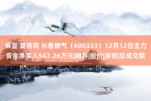 麻豆 夏雨荷 长春燃气（600333）12月12日主力资金净买入547.26万元|融券|股价|游资|总成交额