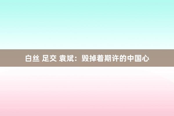 白丝 足交 袁斌：毁掉着期许的中国心